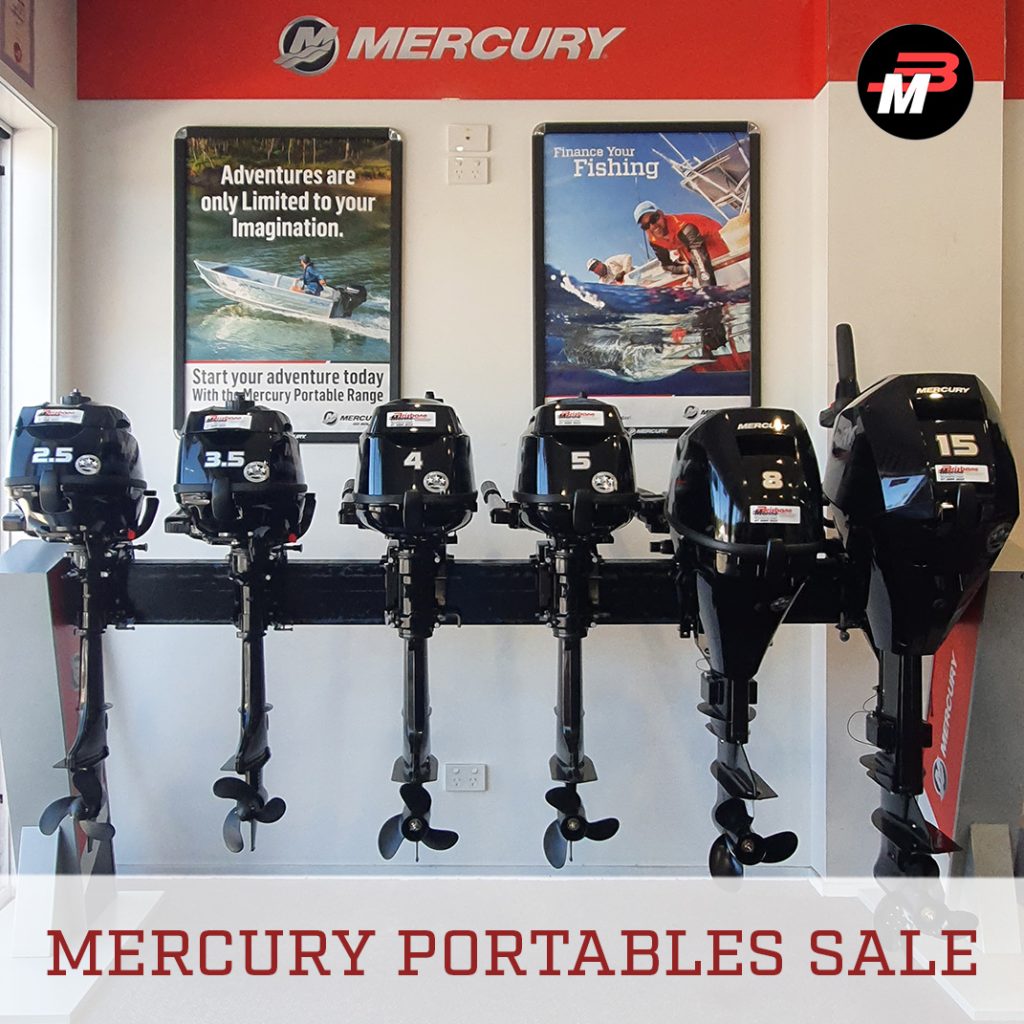 Christmas Sale on Portables