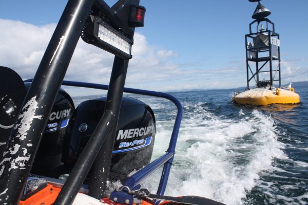 Mercury 150hp SeaPro FourStroke