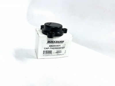 Thermostat Cap