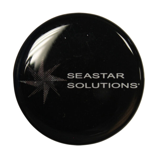 Replacement medallion accessory