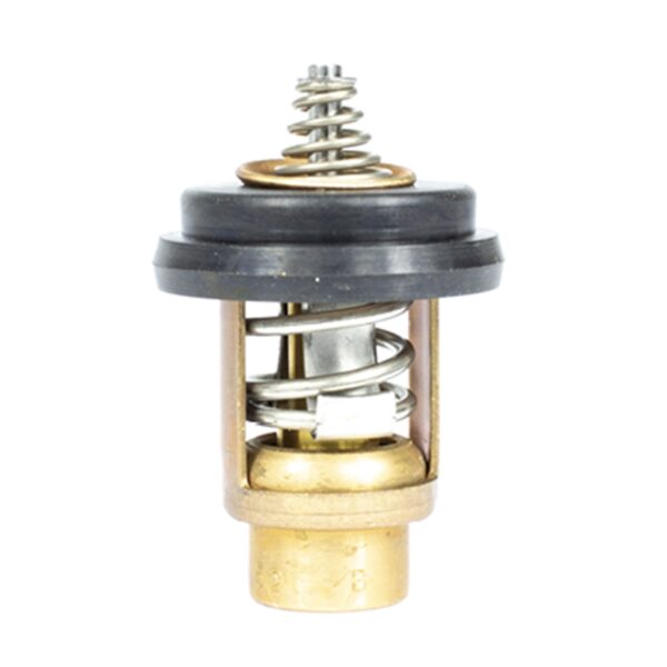 Sierra Thermostat -Mercury/Mariner