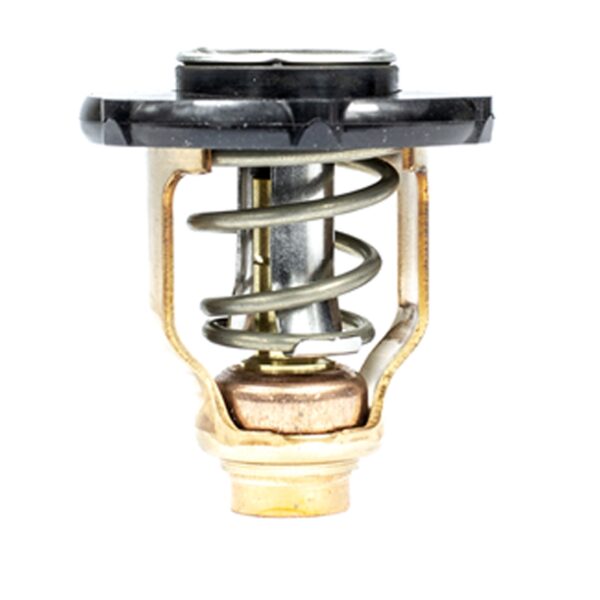 Sierra Thermostat - Yamaha