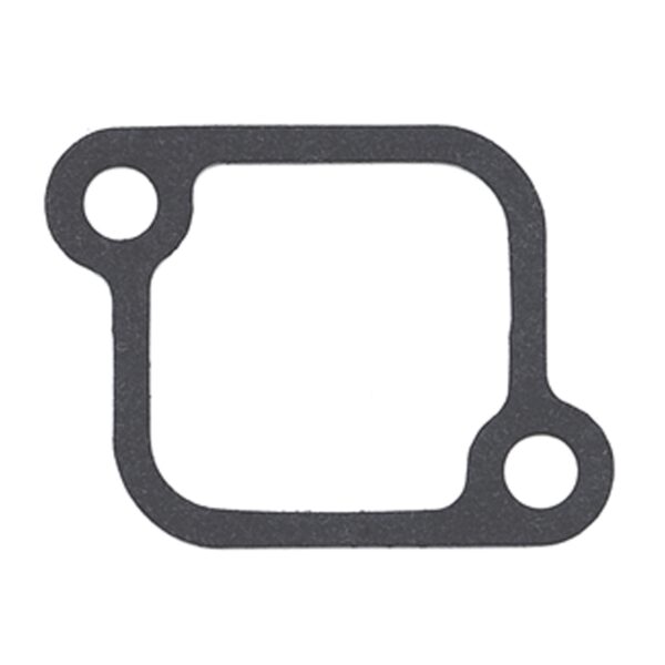 Sierra Thermostat -Mercury/Mariner