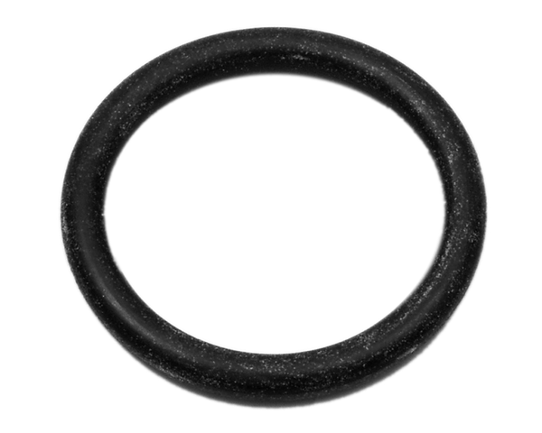 O RING @5 (30613)