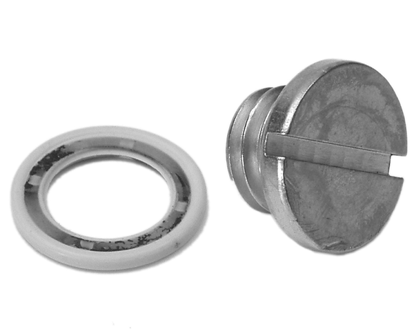 SCREW-DRAIN @2 (79953Q04)