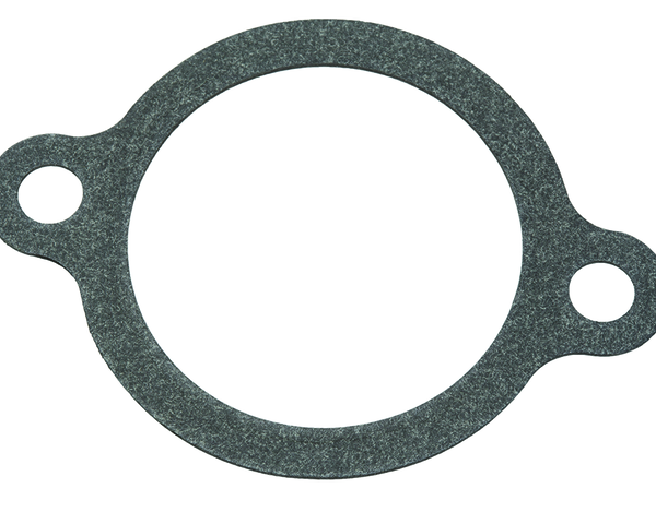 GASKET (8M0079167)