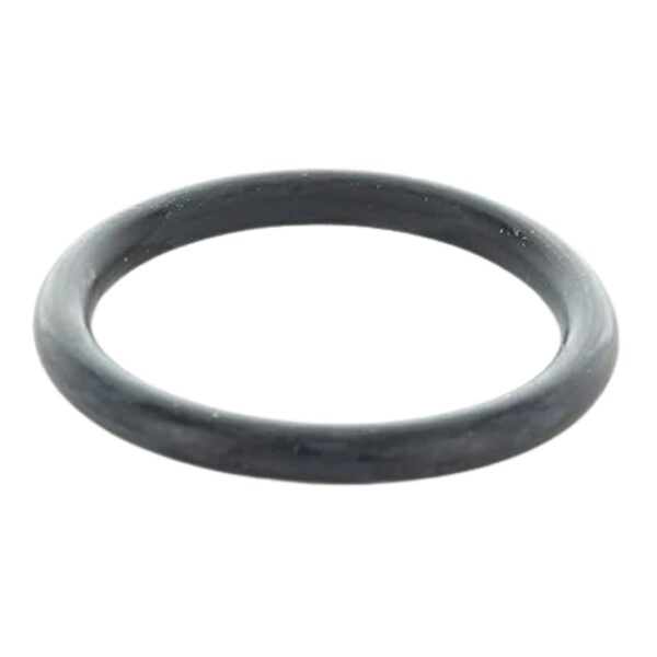 O-RING (26318T)