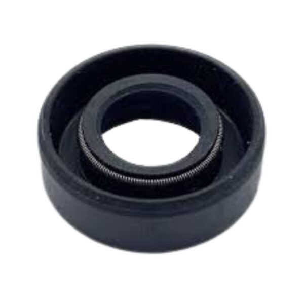 Oil Seal (8164641)