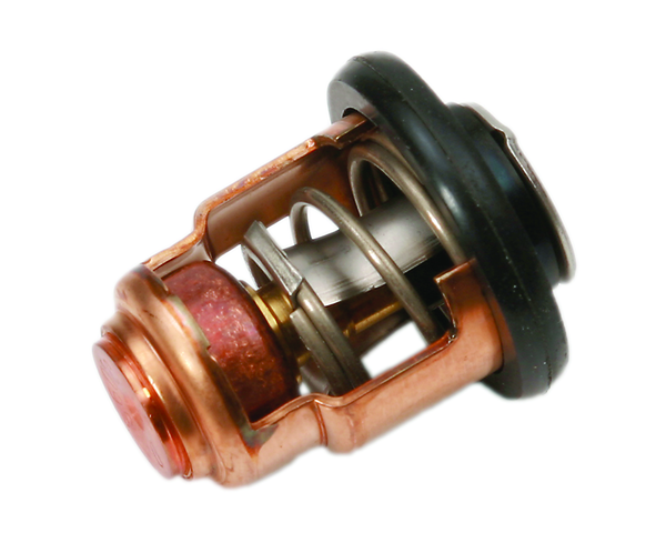 THERMOSTAT (60C/140F) (855676003)