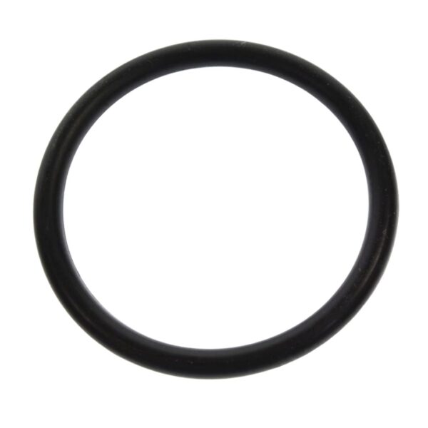 O-RING (33504)
