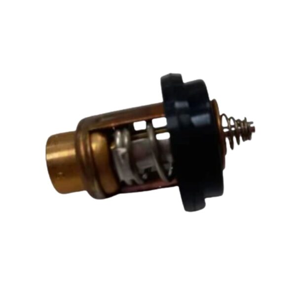 THERMOSTAT (803665)