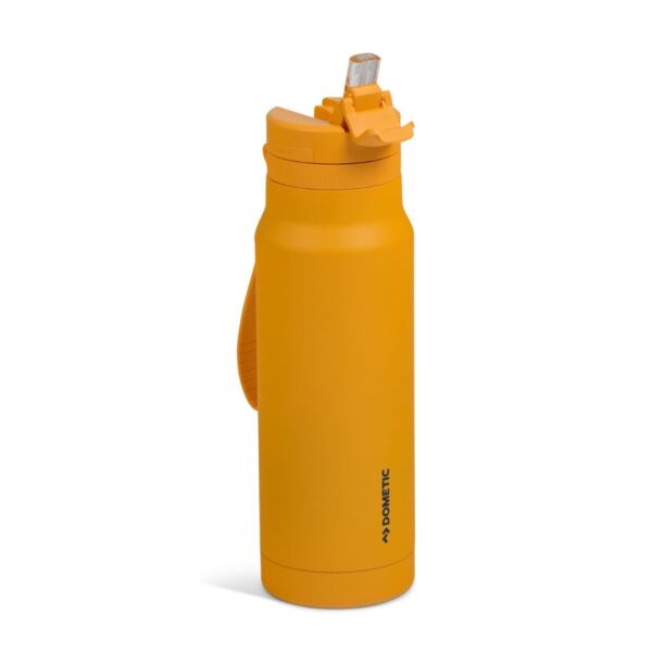 Dometic 1 L Stainless Steel Straw Bottle Glow